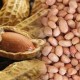 Jangan Dibuang! Kulit Ari Kacang Tanah Ternyata Berkhasiat untuk Kesehatan
